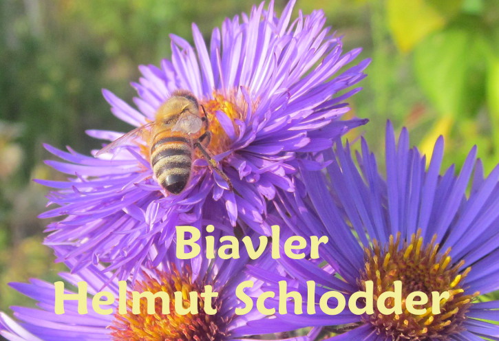 Grafik: Firma emblem: